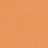 Tarkett Ruby 70 Uno Passion 25145102 Sheet Vinyl - DCTUK