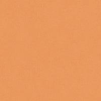 Tarkett Ruby 70 Uno Passion 25145102 Sheet Vinyl
