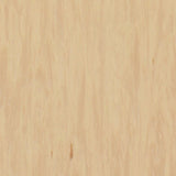Tarkett Standard Plus 2.0 Sandstone 0484 Sheet Vinyl - DCTUK