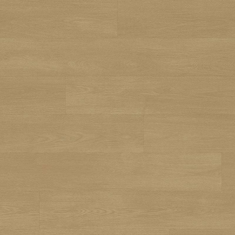 Tarkett Tapiflex Excellence 19dB Chatillon Oak Plank Golden 206017077 Sheet Vinyl - DCTUK