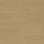 Tarkett Tapiflex Excellence 19dB Chatillon Oak Plank Golden 206017077 Sheet Vinyl - DCTUK