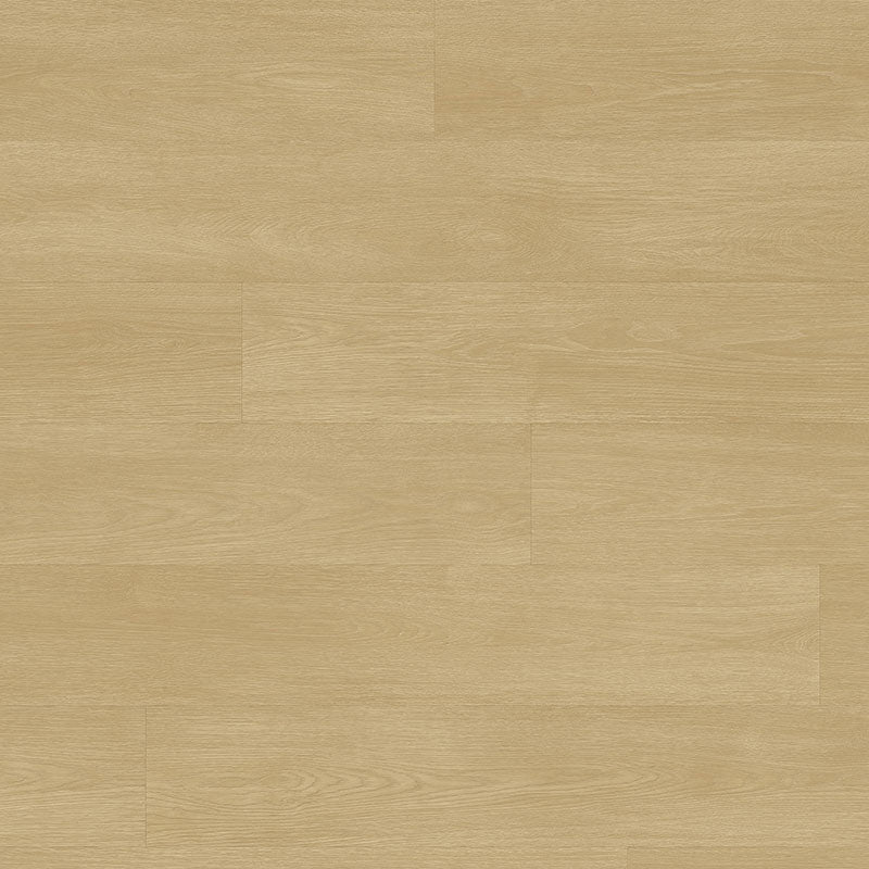 Tarkett Tapiflex Excellence 19dB Chatillon Oak Plank Natural 206017081 Sheet Vinyl - DCTUK