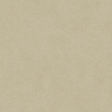 Tarkett Tapiflex Excellence 19dB Concrete Grey Beige 206017006 Sheet Vinyl - DCTUK