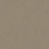 Tarkett Tapiflex Excellence 19dB Concrete Warm Grey 206017008 Sheet Vinyl - DCTUK