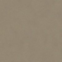 Tarkett Acczent Excellence Compact+ Concrete Warm Grey 206017008 Sheet Vinyl