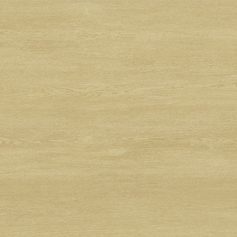 Tarkett Tapiflex Excellence 19dB Oak Tree Golden 206017091 Sheet Vinyl - DCTUK