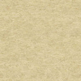 Tarkett Tapiflex Excellence 19dB OBS Natural 206017033 Sheet Vinyl - DCTUK