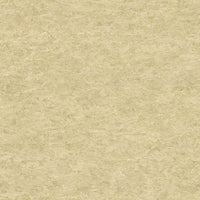 Tarkett Acczent Excellence Compact+ OBS Natural 206017033 Sheet Vinyl