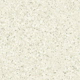 Tarkett Tapiflex Excellence 19dB Terrazzo Natural Grey 206017059 Sheet Vinyl - DCTUK