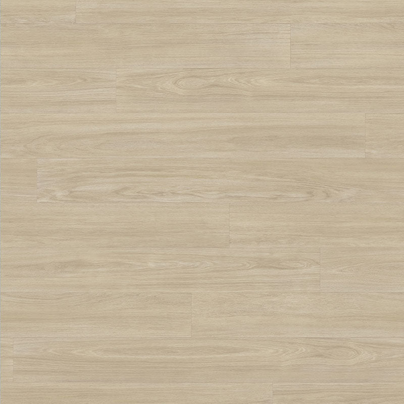 Tarkett Tapiflex Excellence 19dB Variant Oak Plank Beige 206017084 Sheet Vinyl - DCTUK