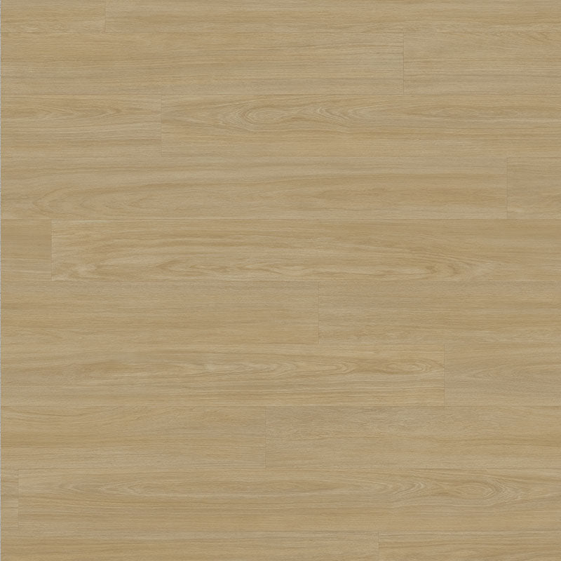 Tarkett Tapiflex Excellence 19dB Variant Oak Plank Golden 206017086 Sheet Vinyl - DCTUK