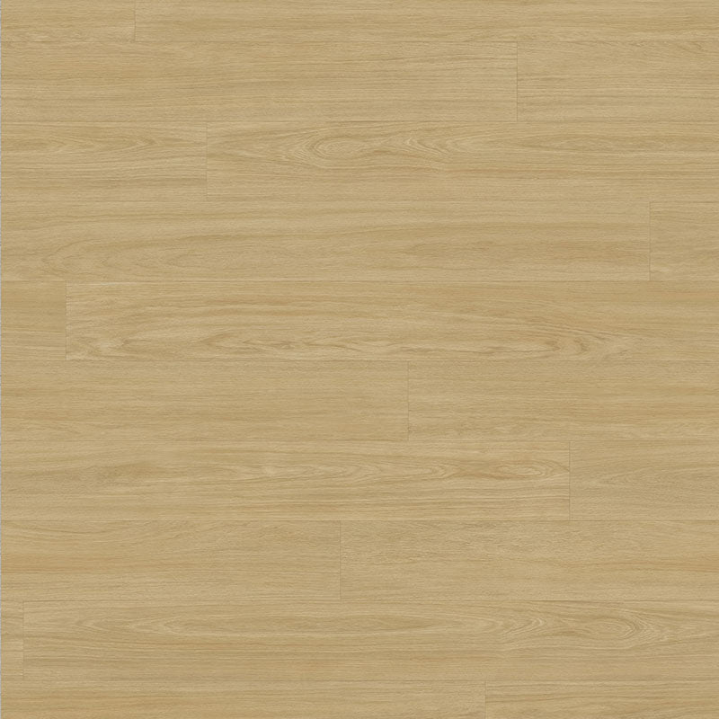 Tarkett Tapiflex Excellence 19dB Variant Oak Plank Natural 206017088 Sheet Vinyl - DCTUK