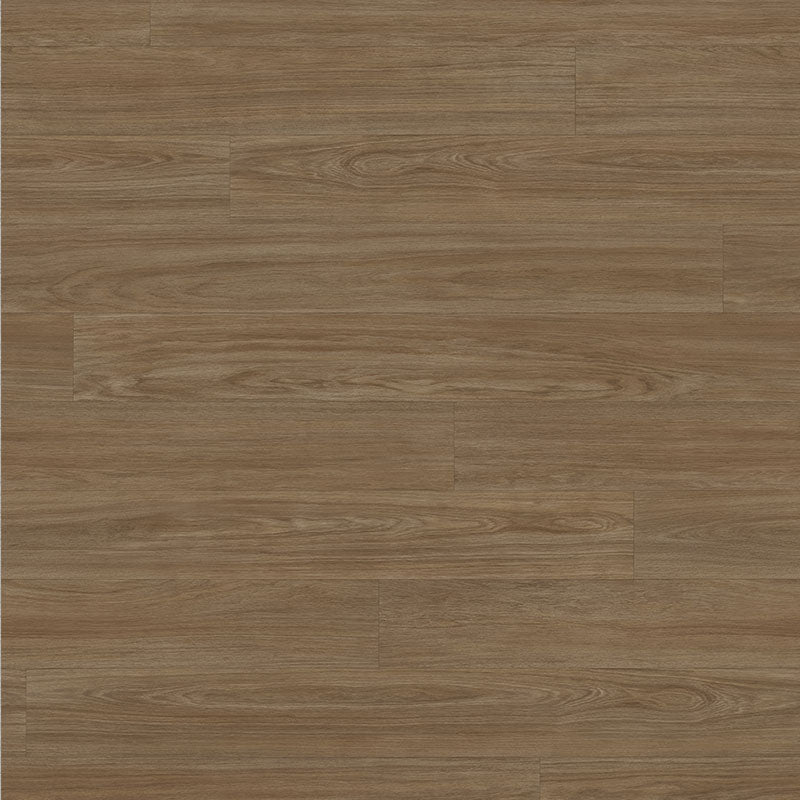 Tarkett Tapiflex Excellence 19dB Variant Oak Plank Warm Brown 206017089 Sheet Vinyl - DCTUK