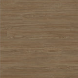 Tarkett Tapiflex Excellence 19dB Variant Oak Plank Warm Brown 206017089 Sheet Vinyl - DCTUK