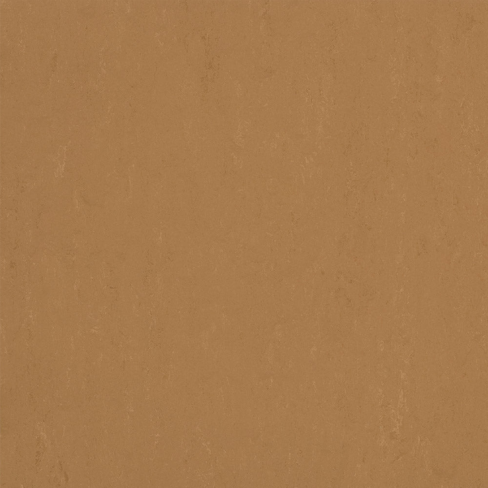 Forbo Marmoleum Modular Accent