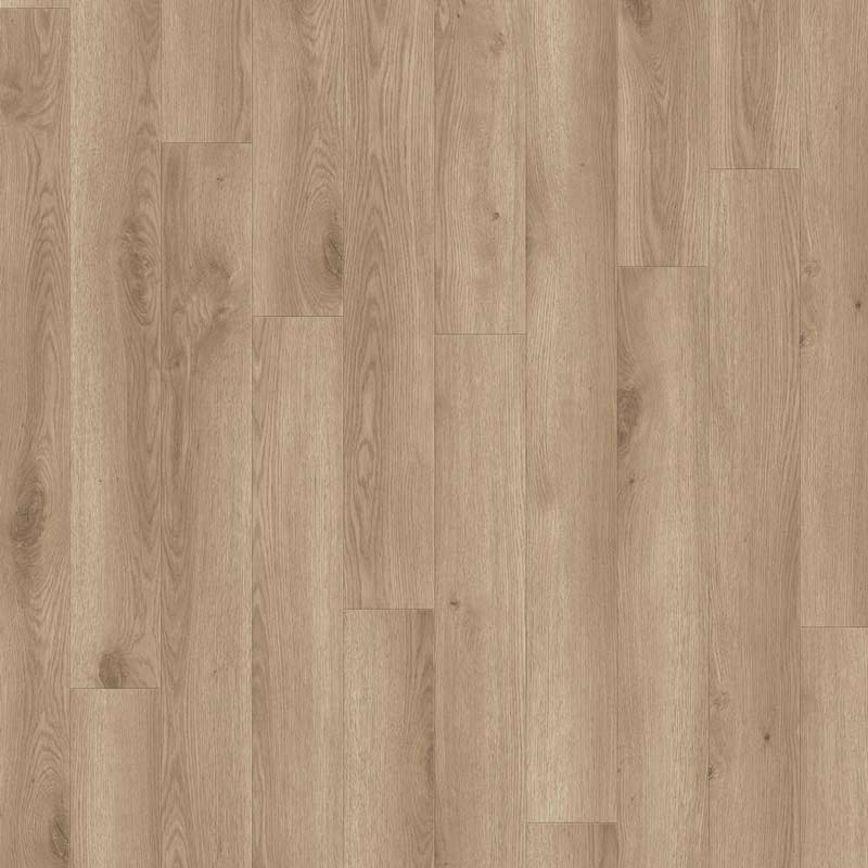 Tarkett Classics 30 Gluedown Contemporary Oak Natural 24524019