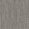 wg100_elephant_va1