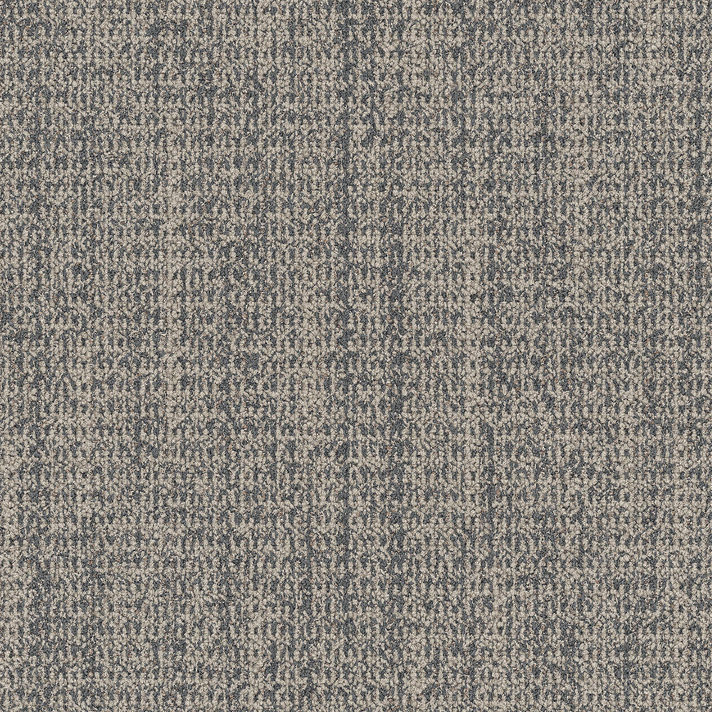 wg100_elephant_va1