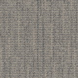 wg100_elephant_va1