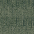 wg100_forest_va1