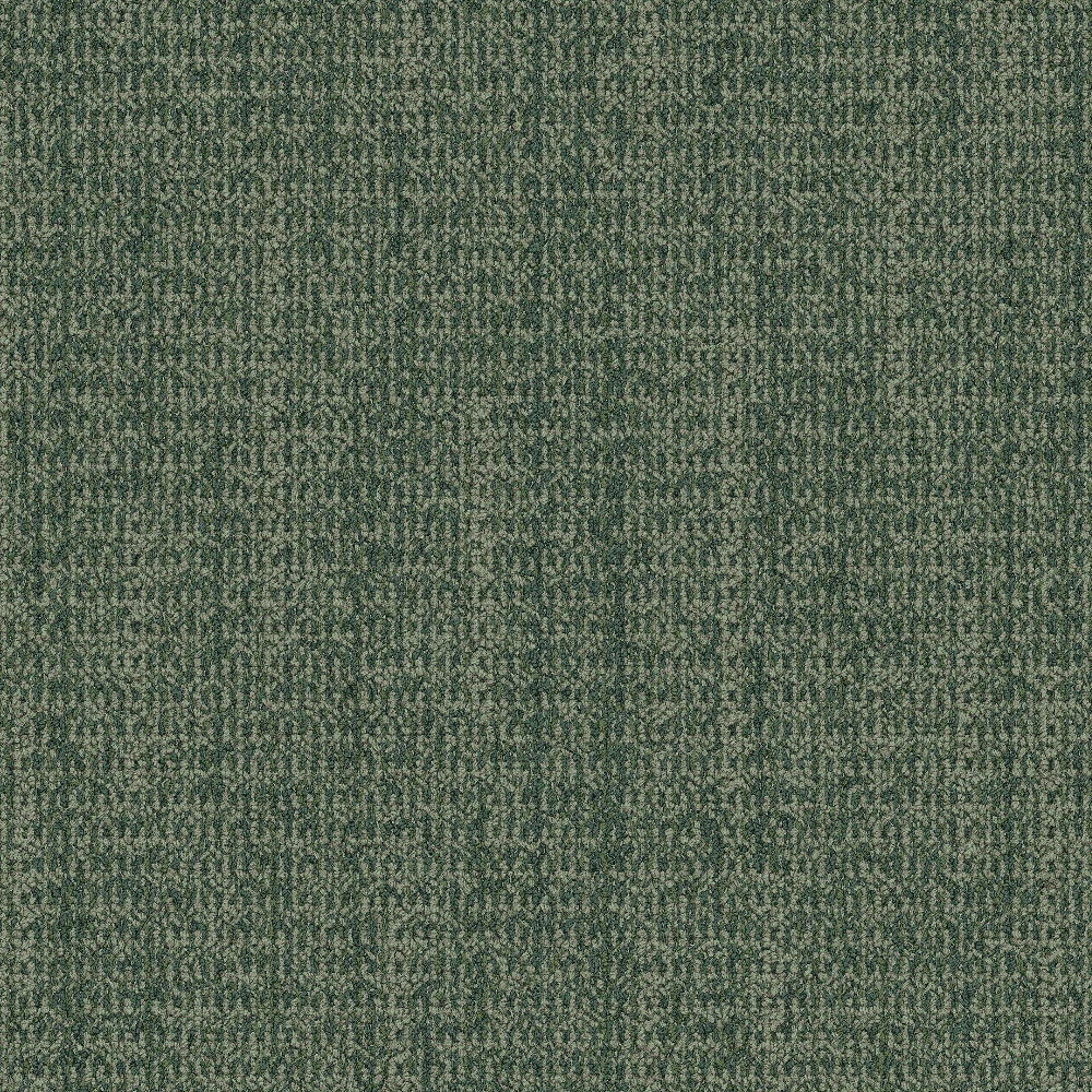 wg100_forest_va1