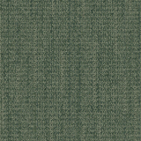 wg100_forest_va1