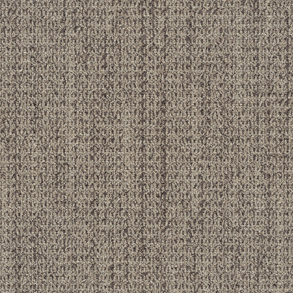 wg100_mocha_va1