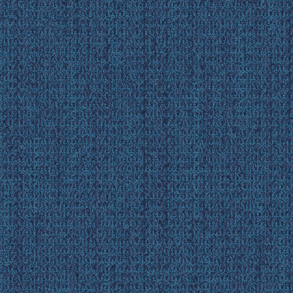 wg100_ocean_va1