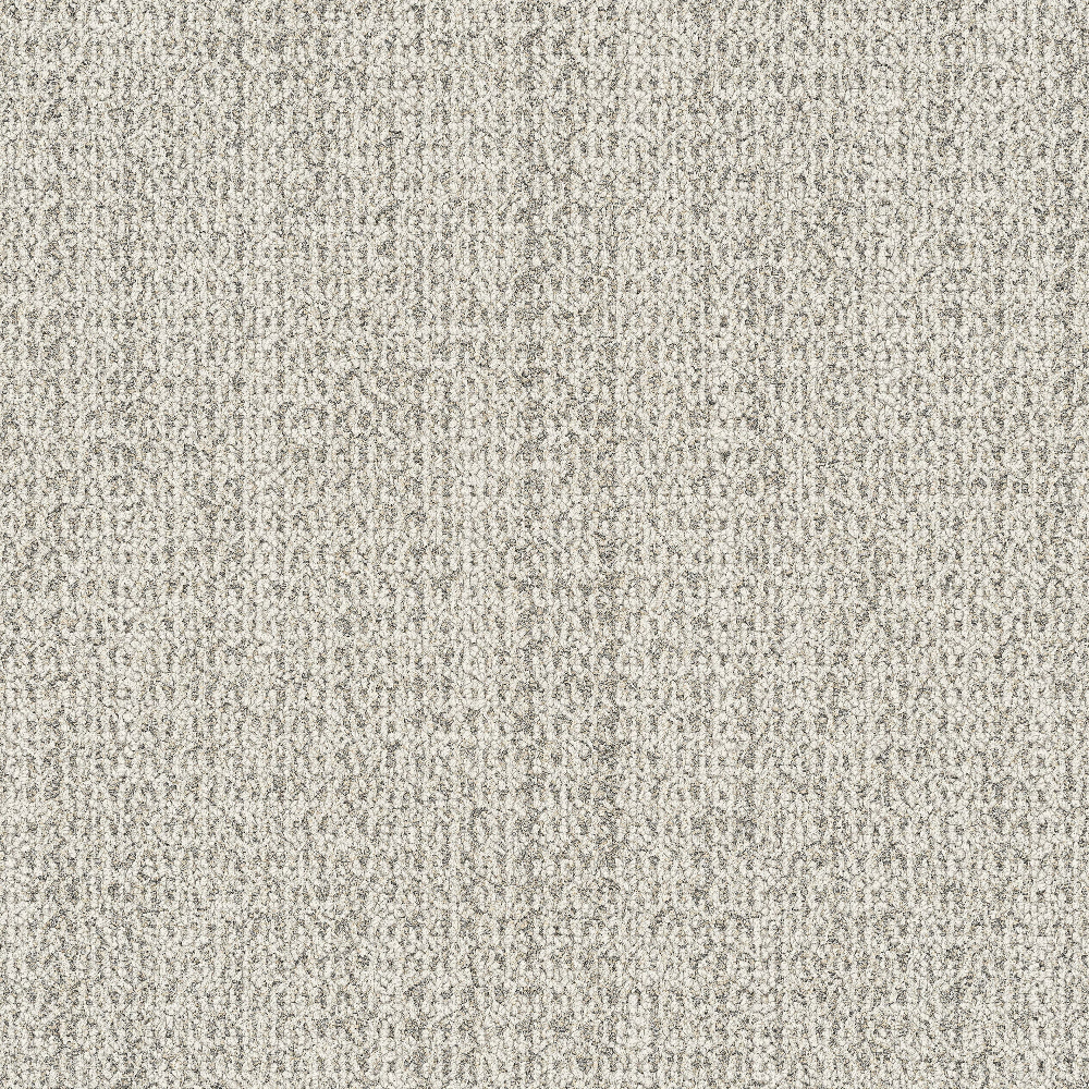 wg100_oyster_va1