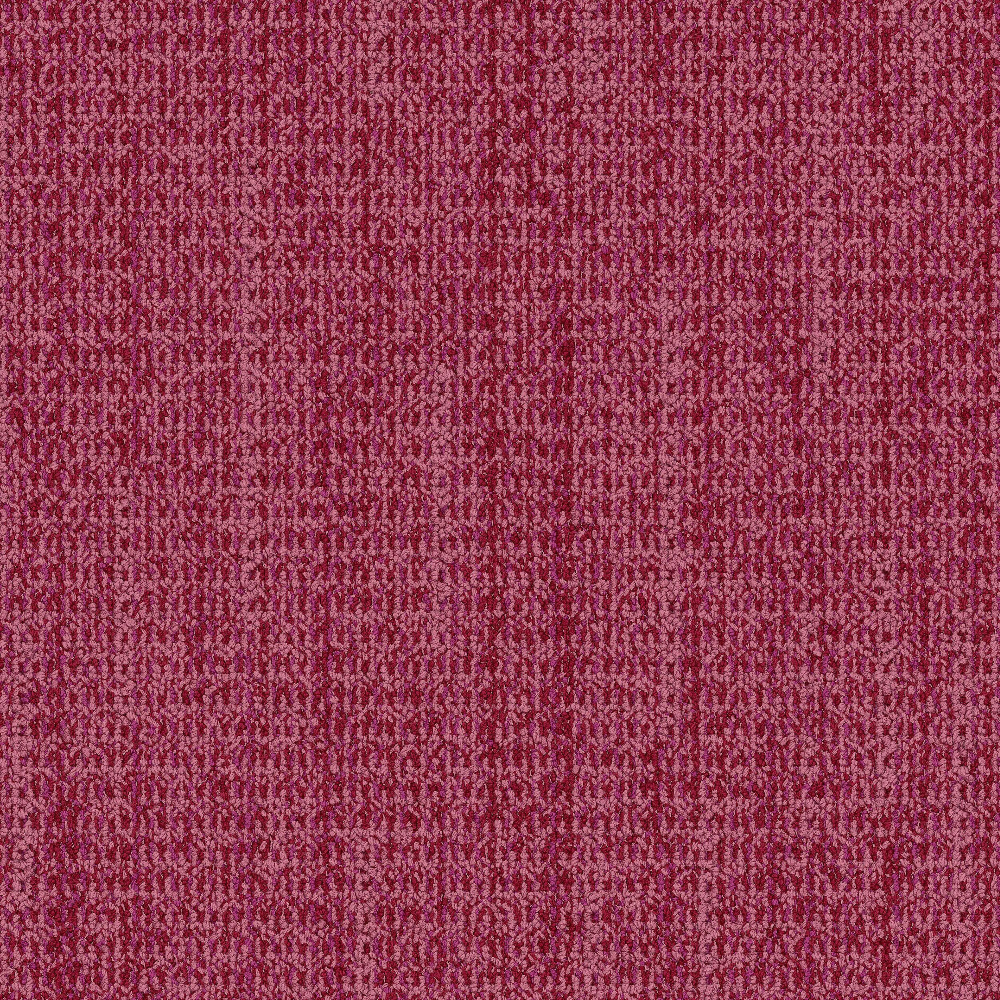 wg100_rose_va1
