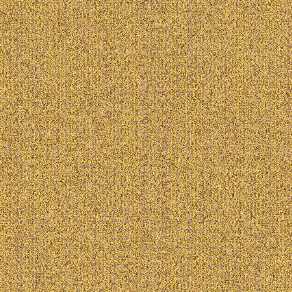 wg100_sunrise_va1