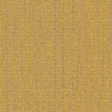 wg100_sunrise_va1