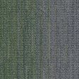 wg200_charcoalforest_va1