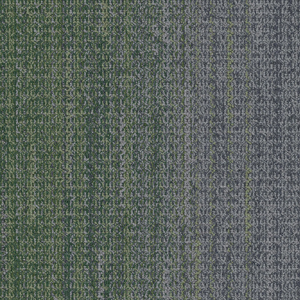 wg200_charcoalforest_va1