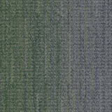 wg200_charcoalforest_va1