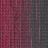 wg200_inkrose_va1