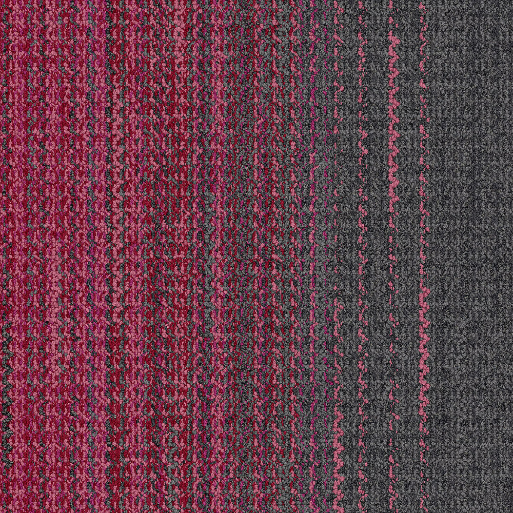 wg200_inkrose_va1