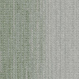 wg200_pearlsage_va1
