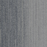 wg200_stonecharcoal_va1