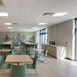 Altro Wood Safety Adhesive-Free