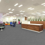 Paragon Workspace Loop